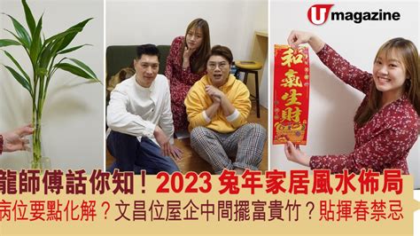 2023富貴竹方位|2023兔年家居風水佈局 龍師傅話你知！ 病位要點化。